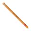 Legami Erasable Corgi Pen with Black Ink